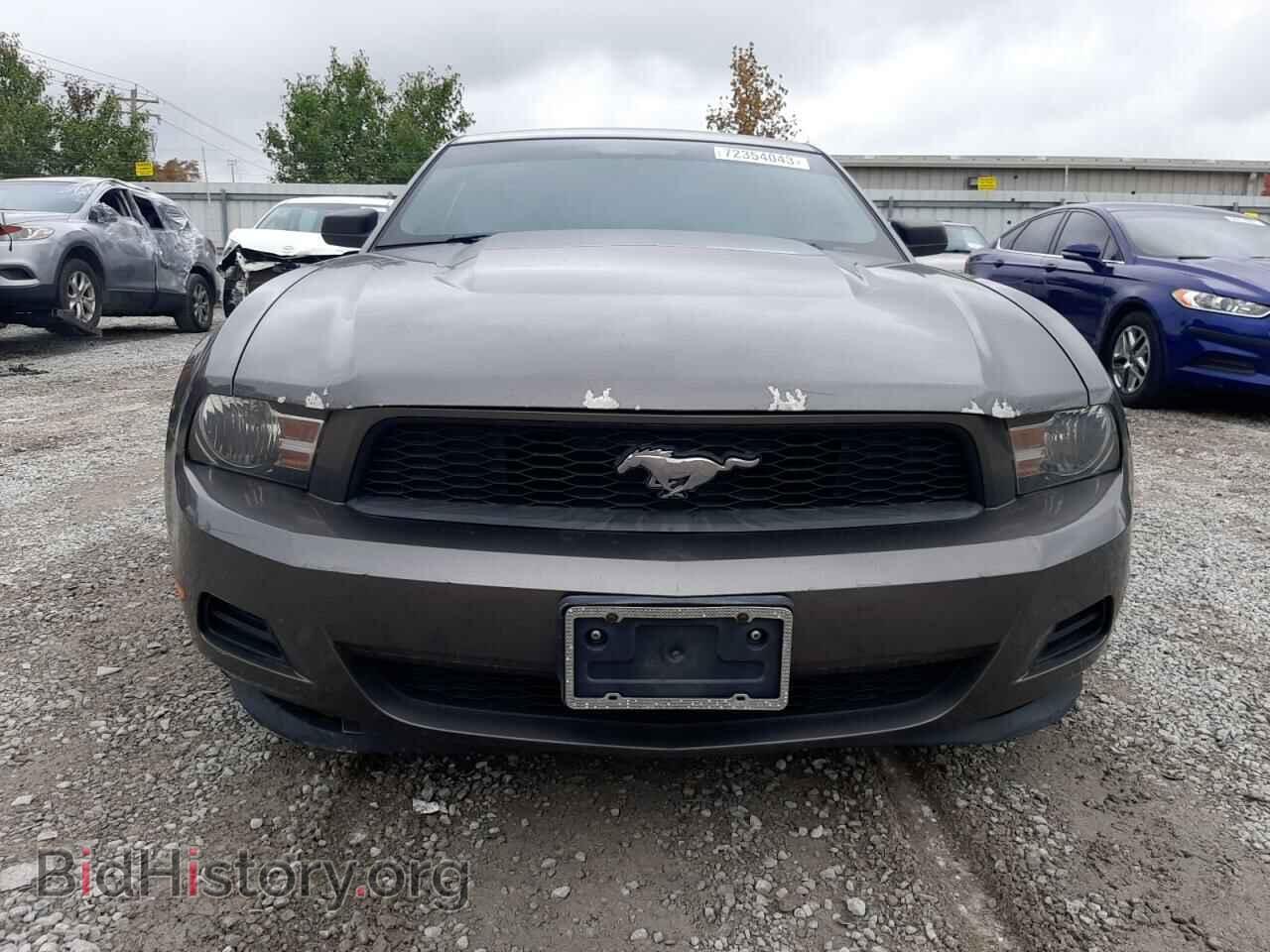 2011 FORD ALL Models - VIN: 1ZVBP8AM6B5132851 - Фото 5