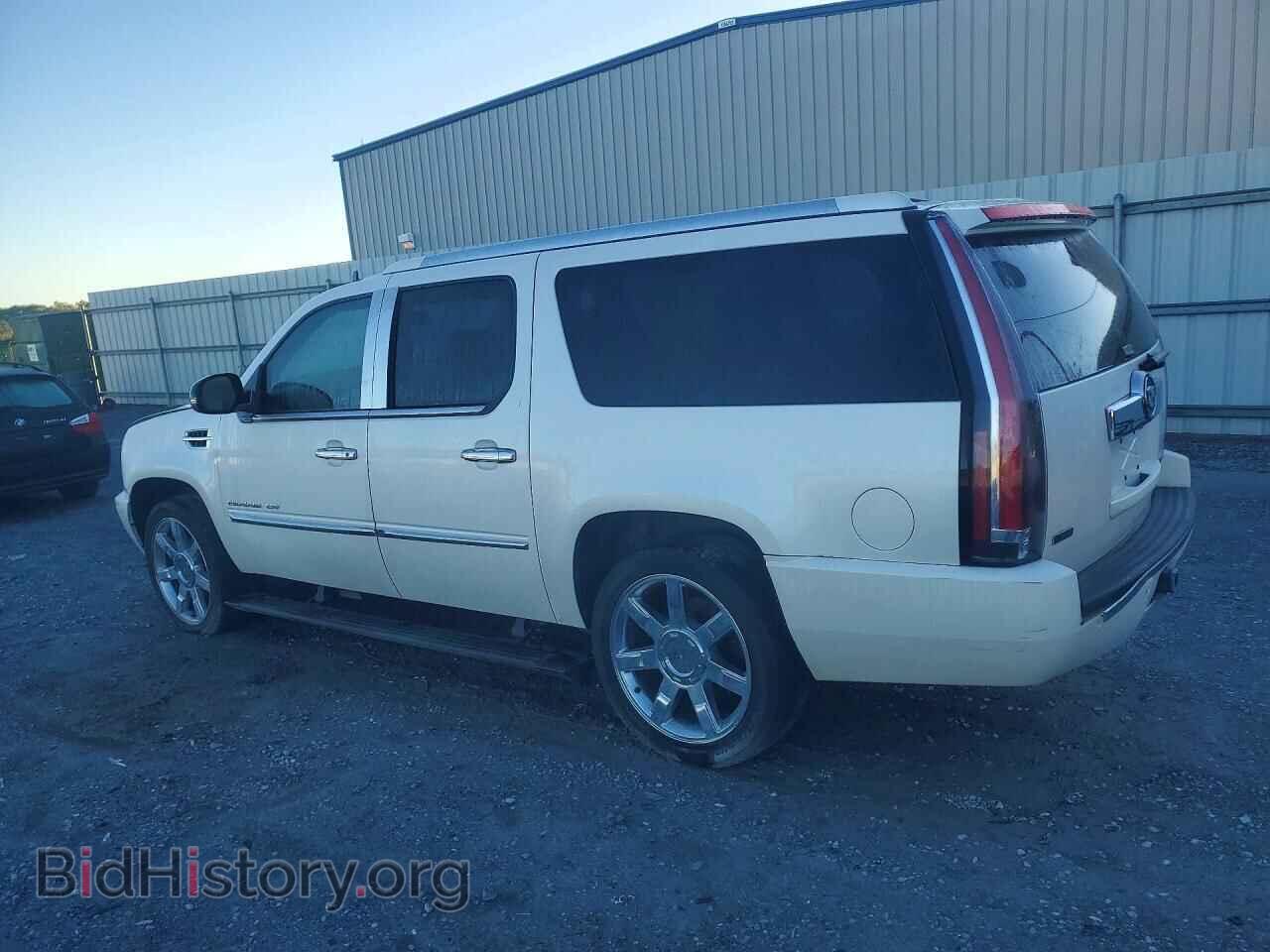 2011 CADILLAC ESCALADE - VIN: 1GYS4JEF9BR102504 - Photo 2