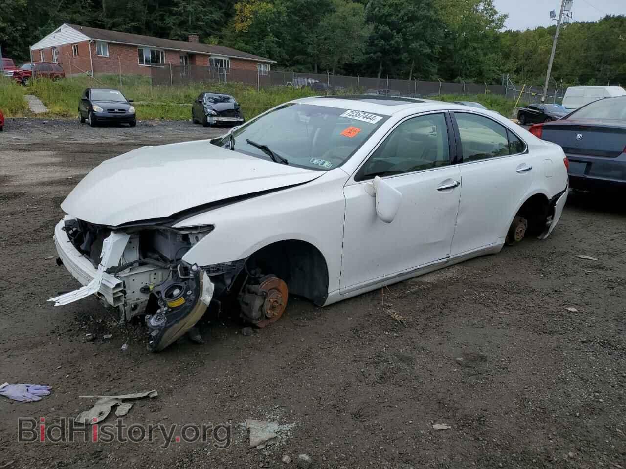 Photo JTHBJ46G682163204 - LEXUS ES350 2008