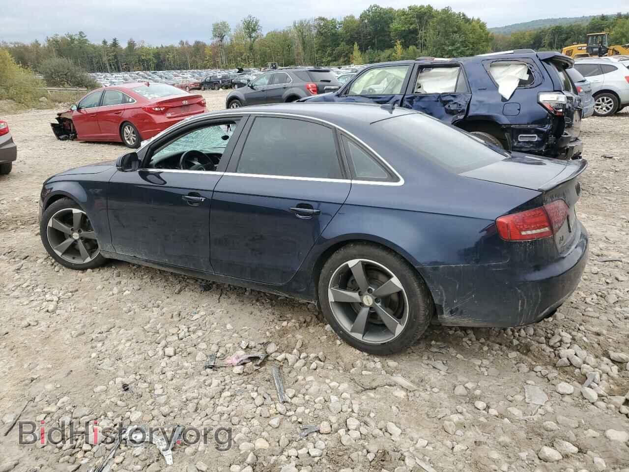 2010 AUDI A4 - VIN: WAUHFAFL8AN026145 - Фото 2