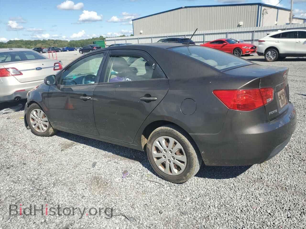 2011 KIA FORTE - VIN: KNAFU4A22B5895855 - Фото 2