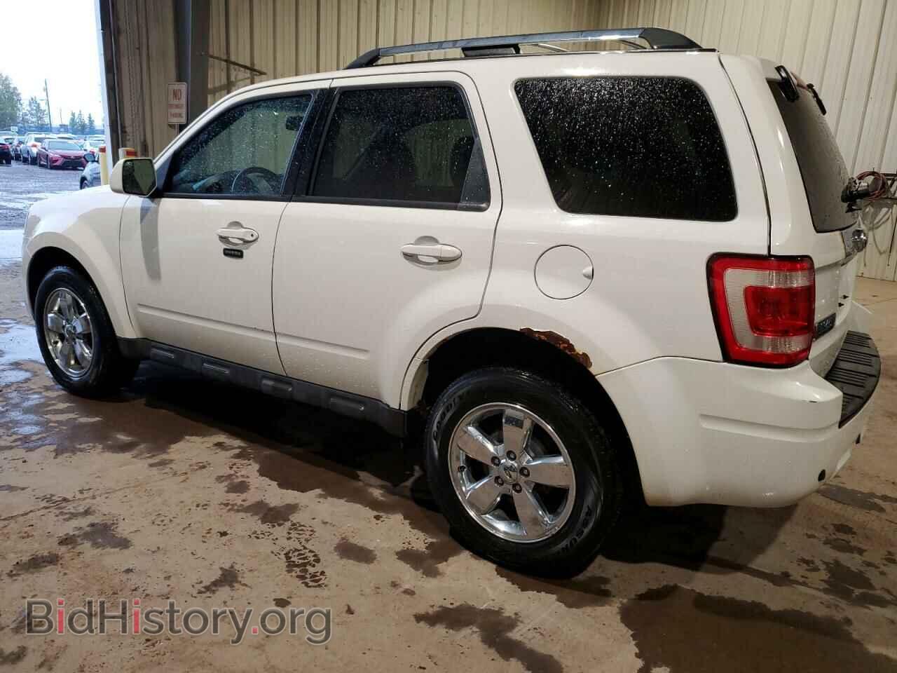 2011 FORD ESCAPE - VIN: 1FMCU9EG3BKC26306 - Фото 2
