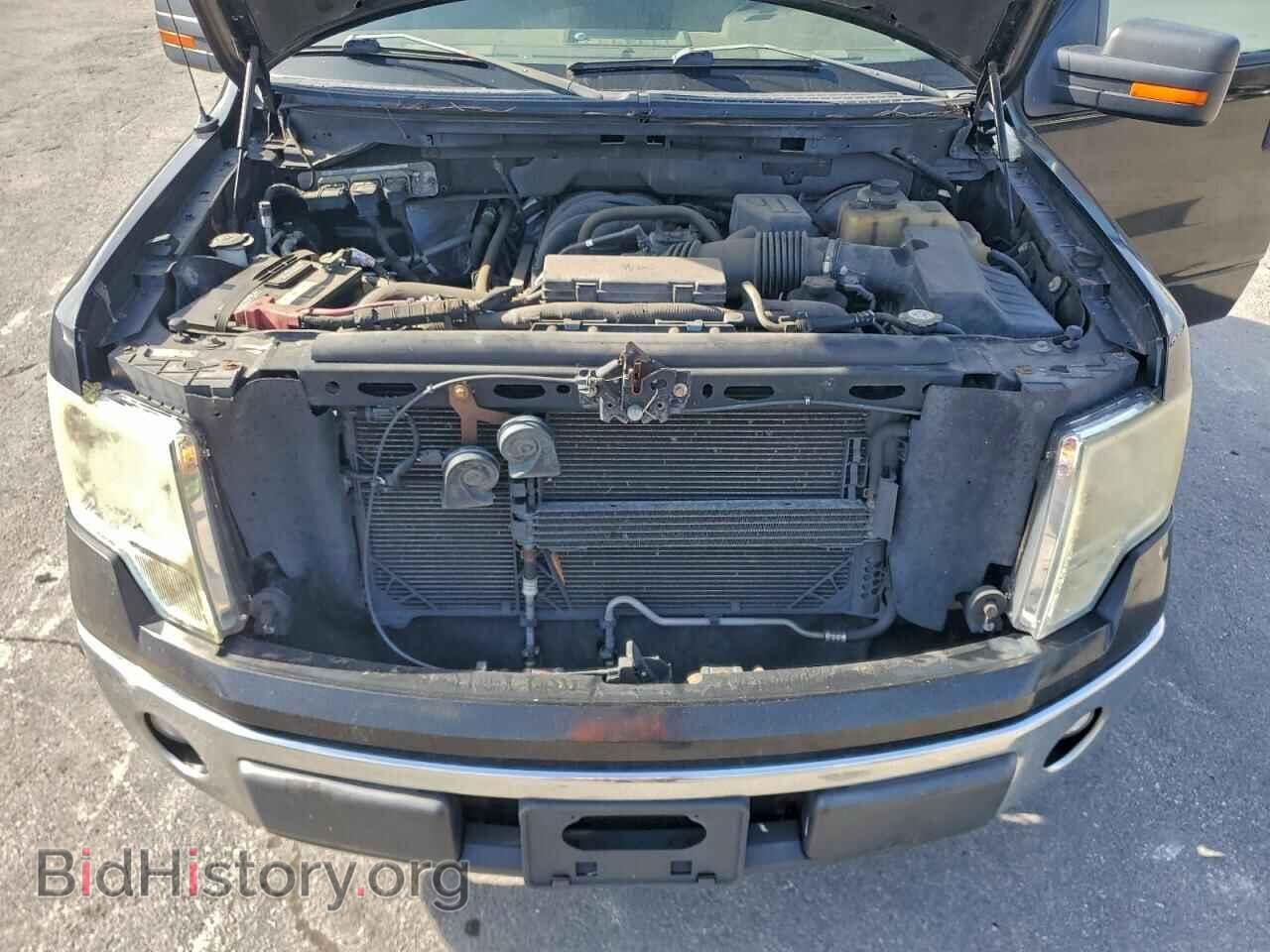 2010 FORD F-150 - VIN: 1FTEW1C86AFD62800 - Фото 11