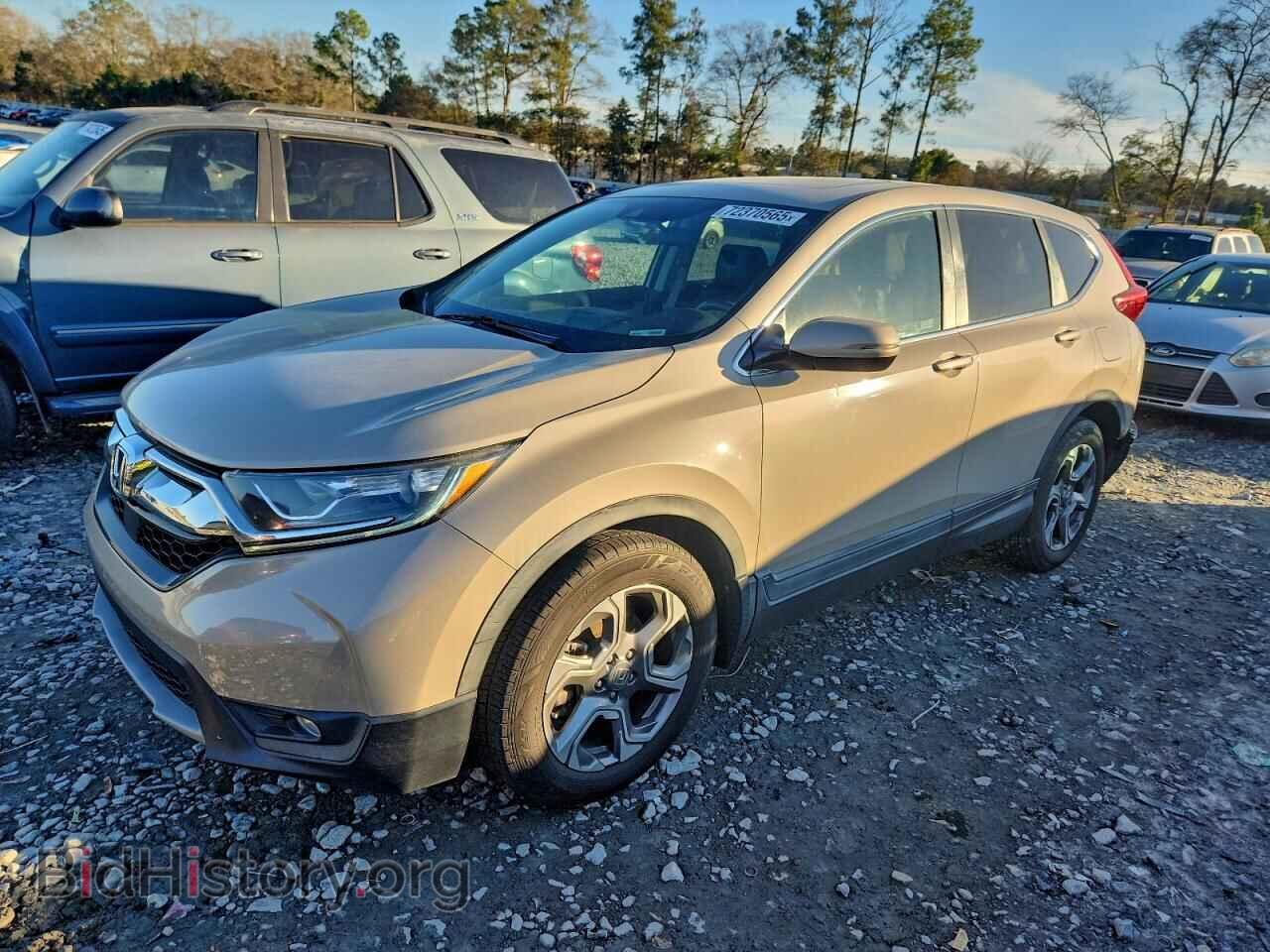 Фотография 2HKRW1H53KH503989 - HONDA CRV 2019