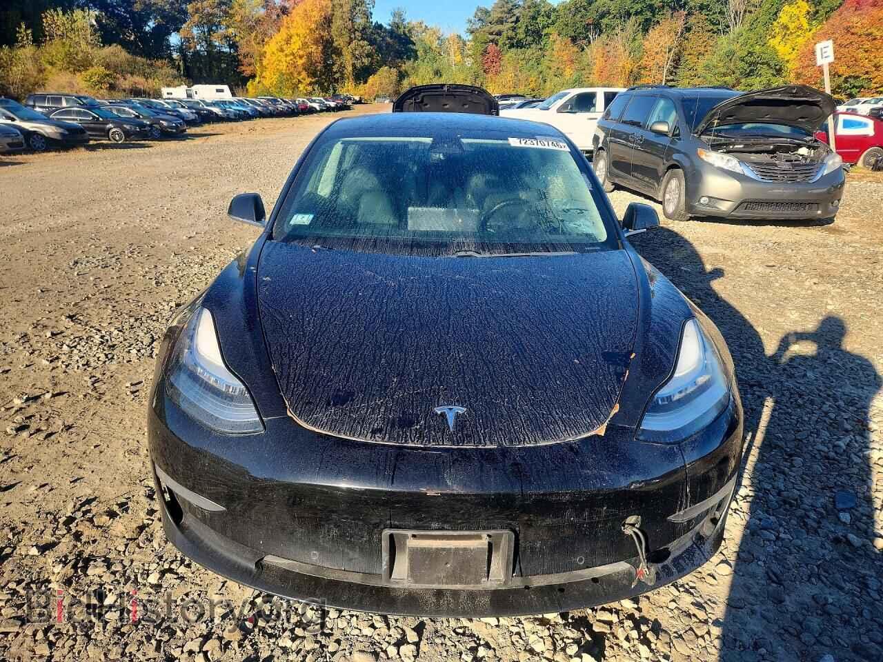 2019 TESLA MODEL 3 - VIN: 5YJ3E1EA3KF397777 - Фото 5