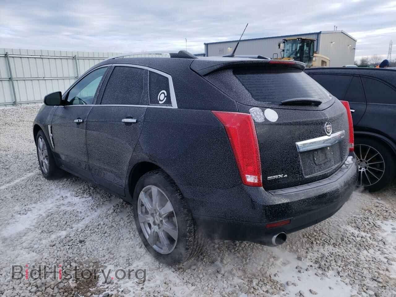 2011 CADILLAC SRX - VIN: 3GYFNFEY2BS555857 - Фото 2
