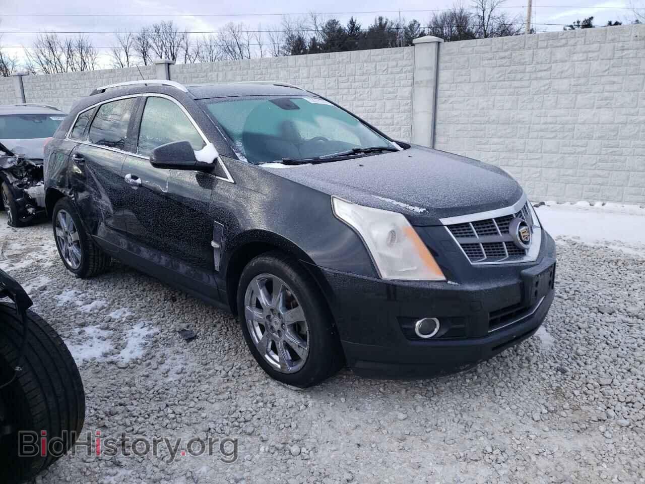 2011 CADILLAC SRX - VIN: 3GYFNFEY2BS555857 - Фото 4
