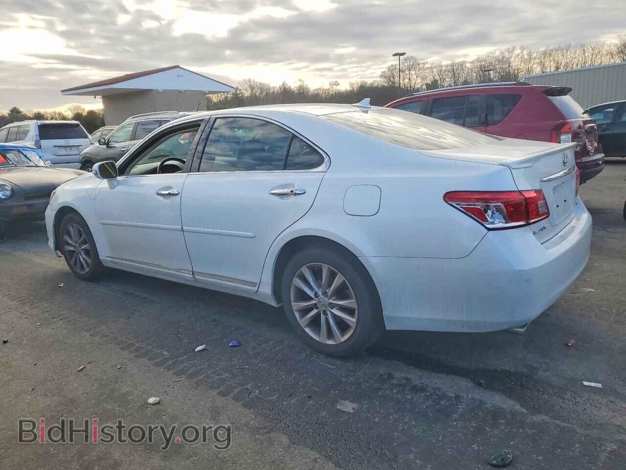 2010 LEXUS ES350 - VIN: JTHBK1EG9A2387425 - Фото 2