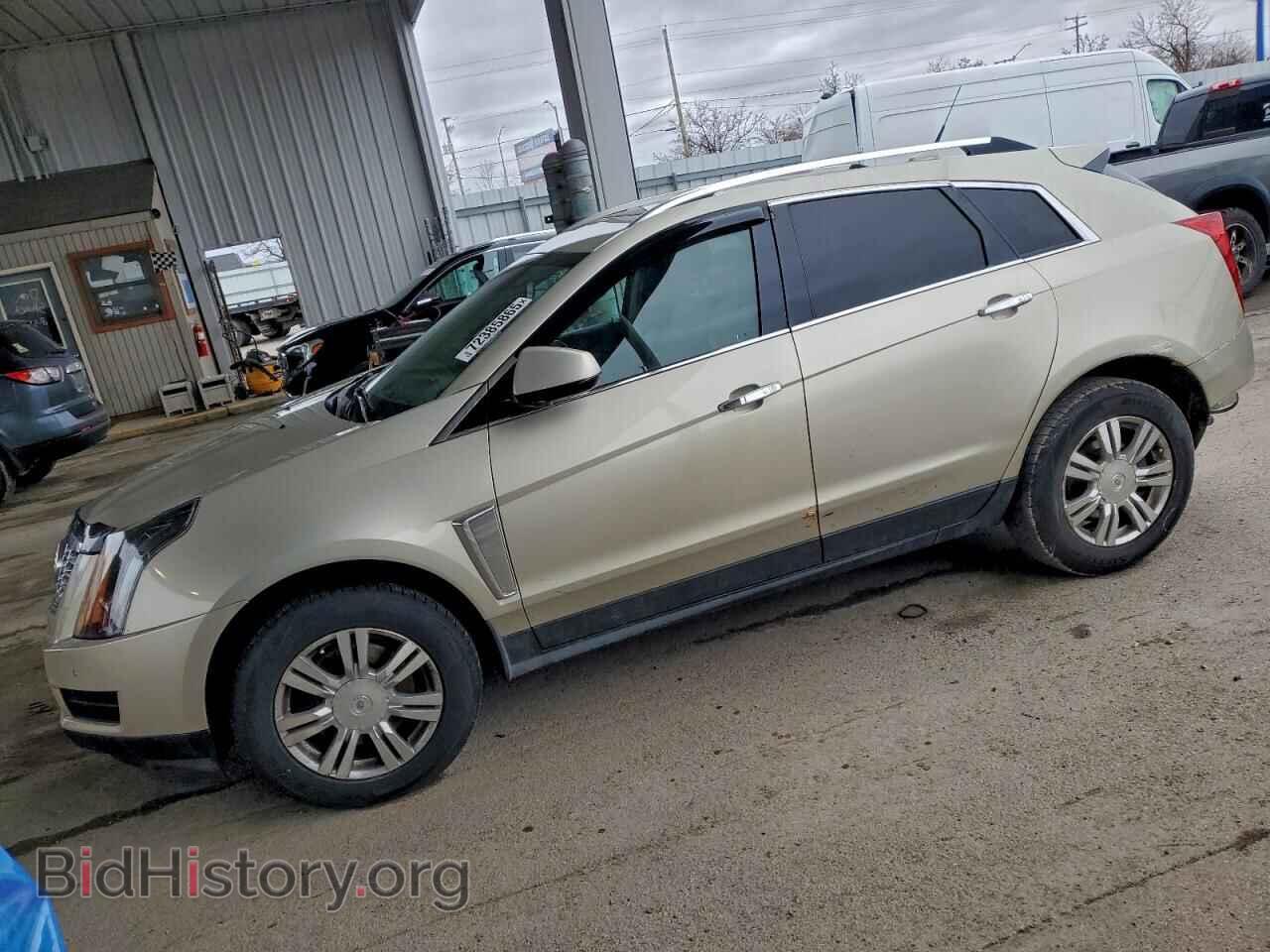 Фотография 3GYFNCE36DS548044 - CADILLAC SRX 2013