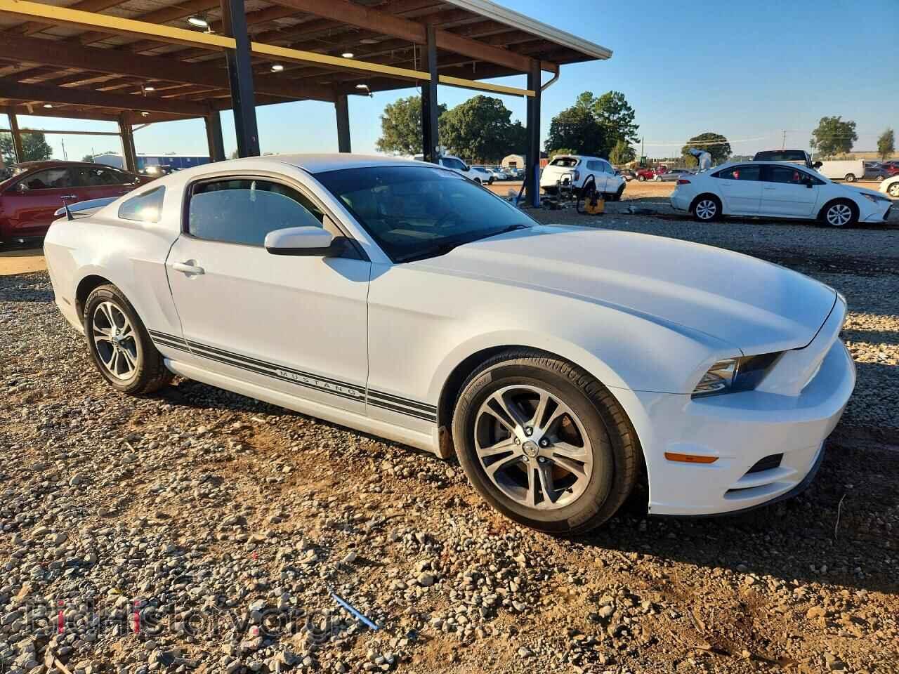 2014 FORD MUSTANG - VIN: 1ZVBP8AM3E5213407 - Фото 4