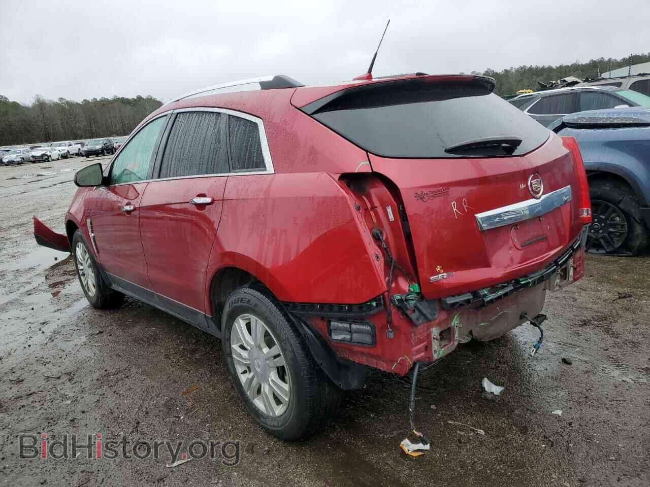 2010 CADILLAC SRX - VIN: 3GYFNAEY7AS542345 - Фото 2