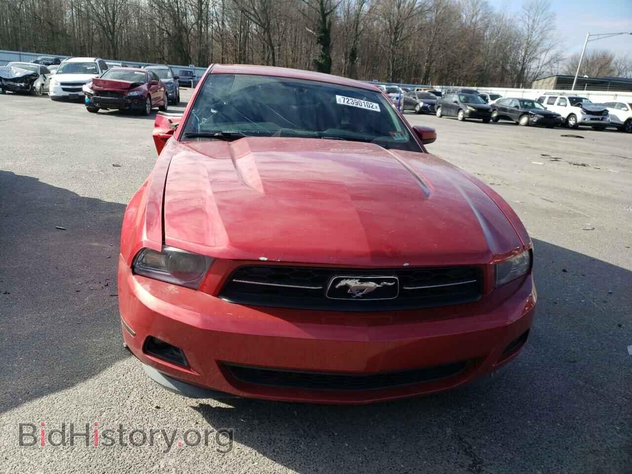 2011 FORD MUSTANG - VIN: 1ZVBP8AM3B5129907 - Фото 5