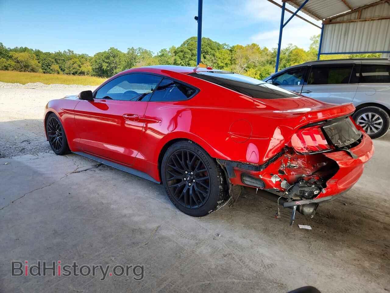 2019 FORD MUSTANG - VIN: 1FA6P8TH0K5172496 - Фото 2