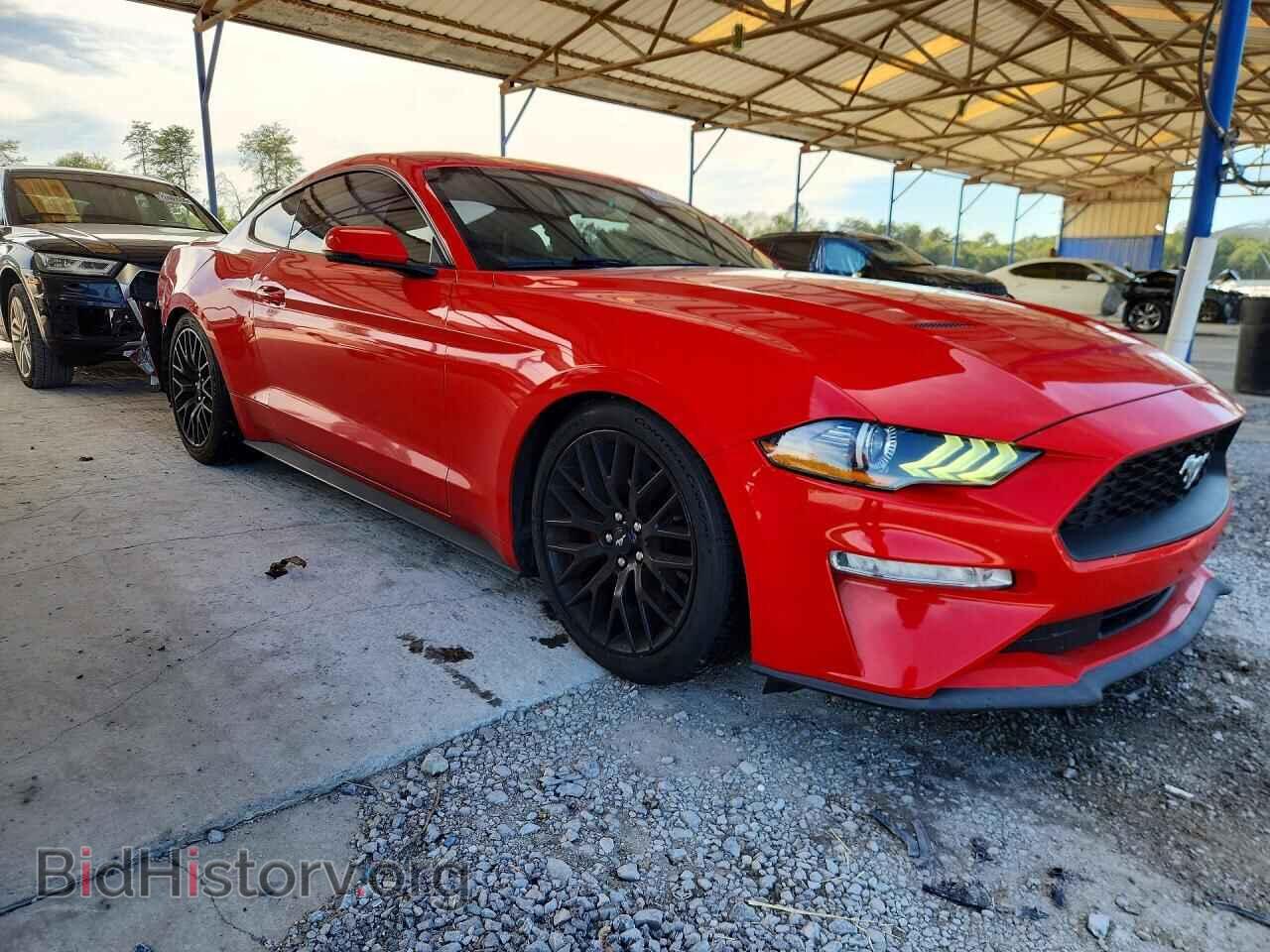 2019 FORD MUSTANG - VIN: 1FA6P8TH0K5172496 - Фото 4