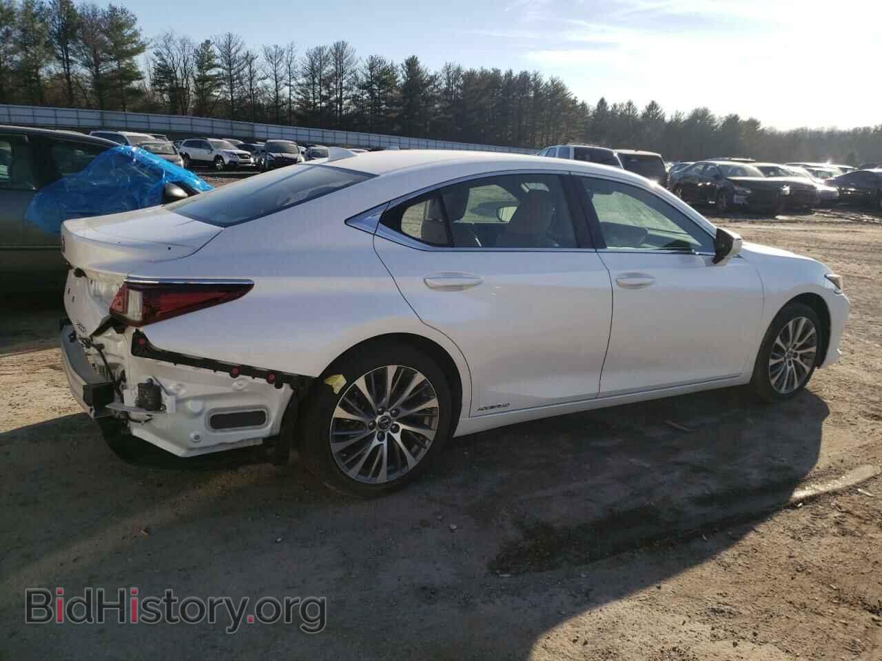 2021 LEXUS ES300 - VIN: 58ADA1C17MU005014 - Фото 3