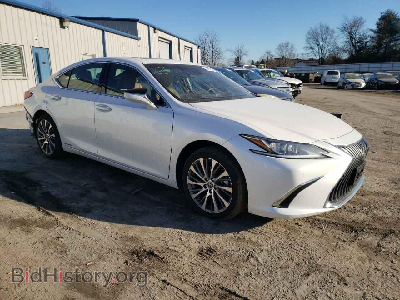 2021 LEXUS ES300 - VIN: 58ADA1C17MU005014 - Фото 4