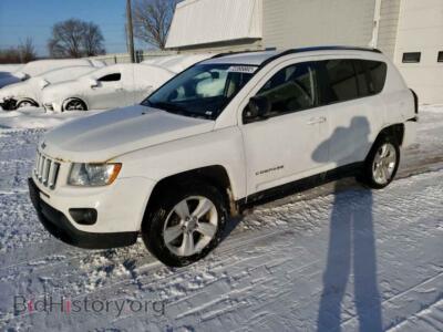 2011 Jeep COMPASS Compass SP, white — VIN 1J4NF1FB7BD159154, Copart