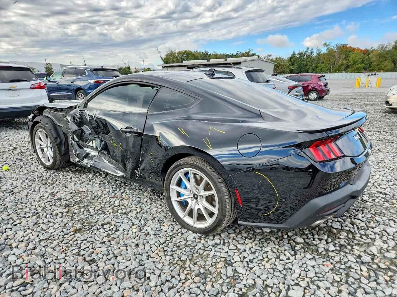 2024 FORD MUSTANG - VIN: 1FA6P8CF2R5425231 - Фото 2