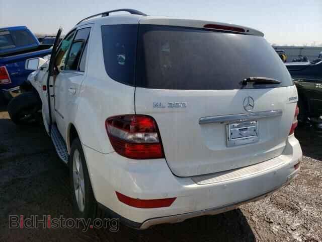 2011 MERCEDES-BENZ M-CLASS - VIN: 4JGBB2FBXBA736752 - Фото 3