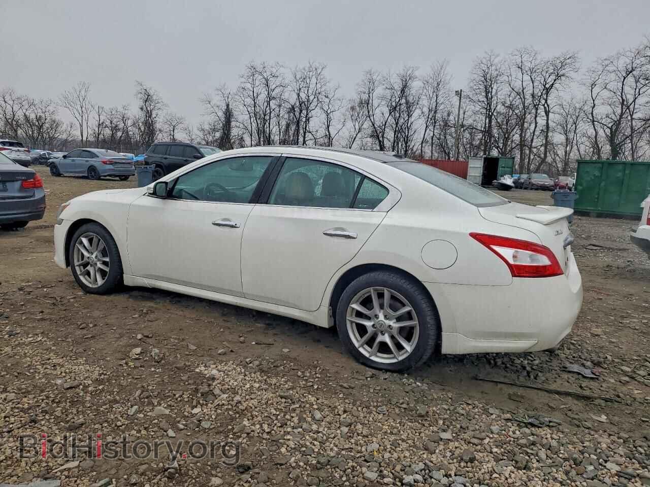 2010 NISSAN MAXIMA - VIN: 1N4AA5AP6AC818977 - Фото 2