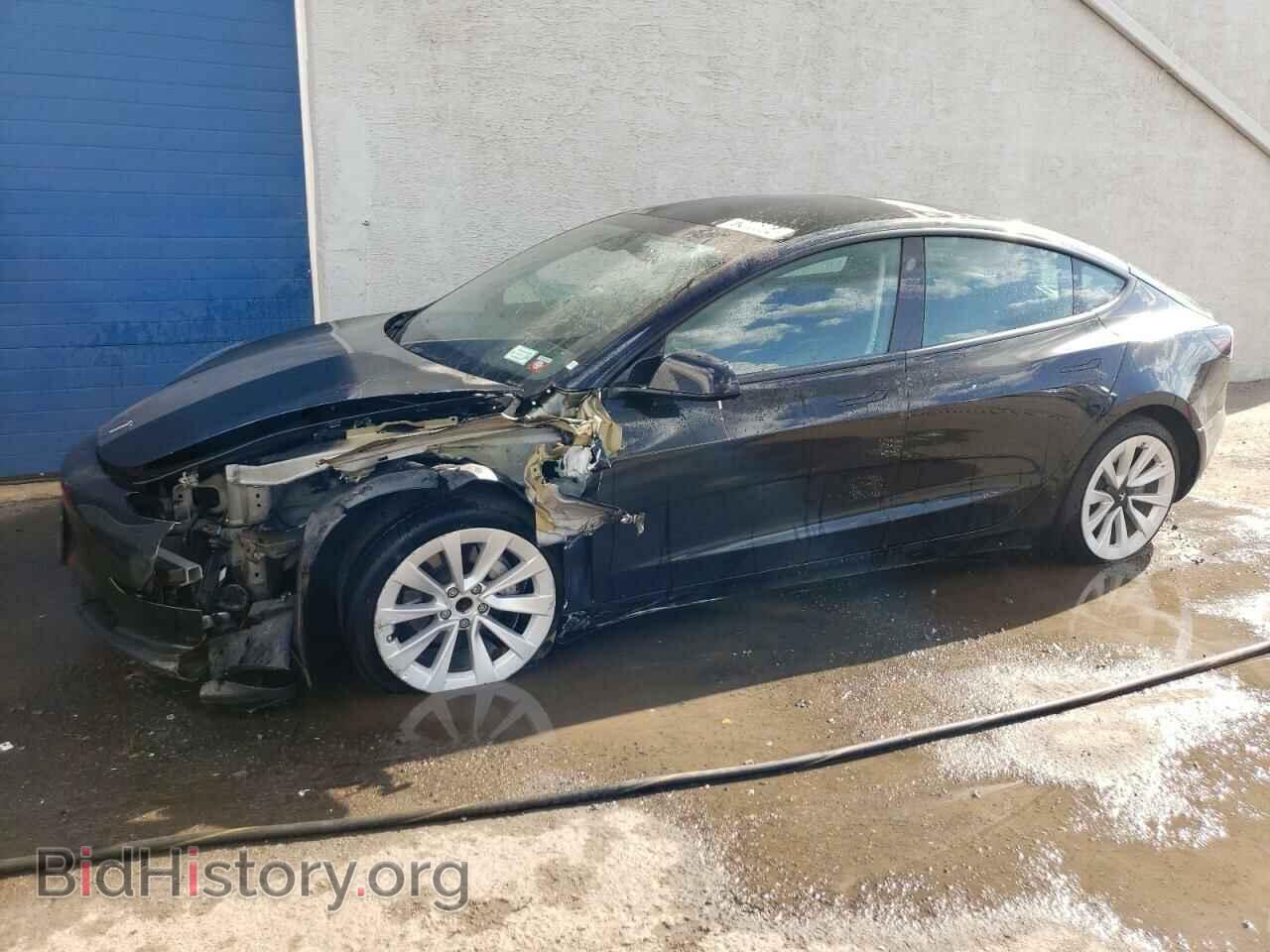 Photo 5YJ3E1EA4PF448727 - TESLA MODEL 3 2023