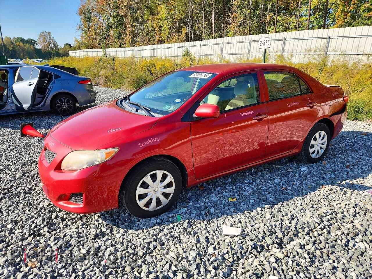 Photo 2T1BU4EE5AC528777 - TOYOTA COROLLA 2010