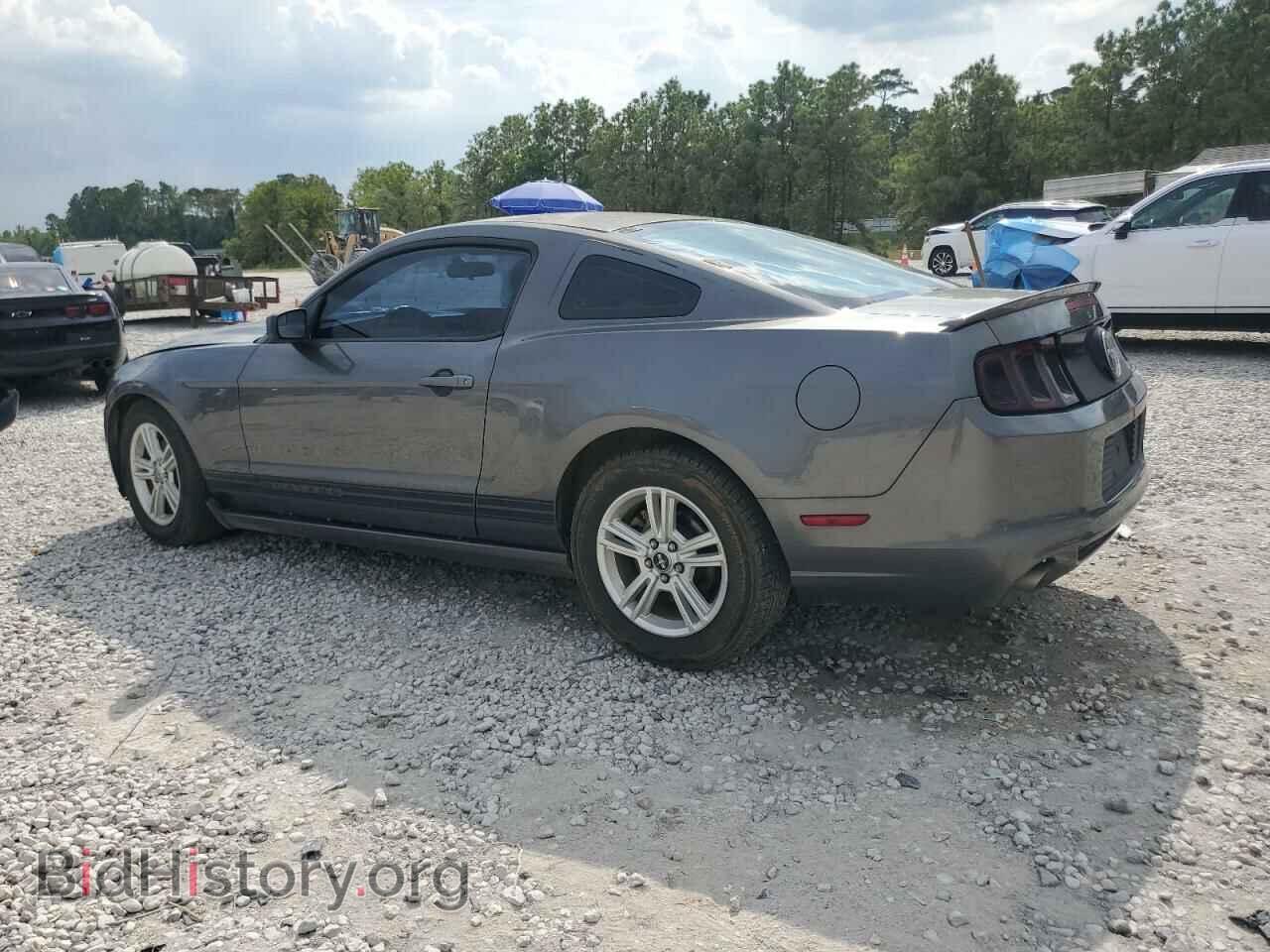 2013 FORD ALL Models - VIN: 1ZVBP8AM3D5279003 - Фото 2