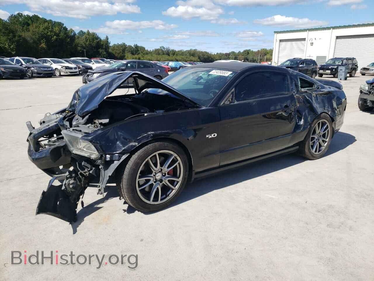 Фотография 1ZVBP8CF7D5249517 - FORD MUSTANG 2013