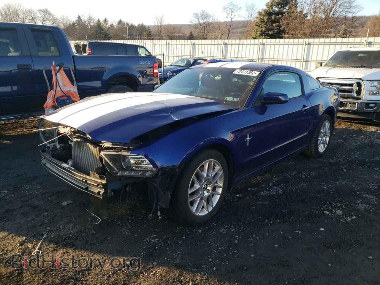 Фотография 1ZVBP8AM4E5271218 - FORD MUSTANG 2014