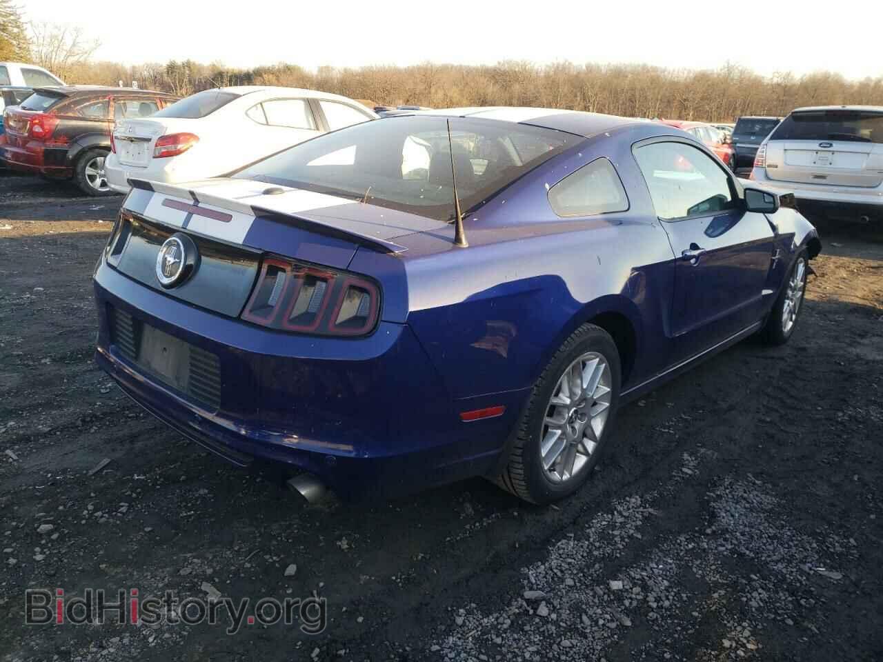 2014 FORD MUSTANG - VIN: 1ZVBP8AM4E5271218 - Фото 3