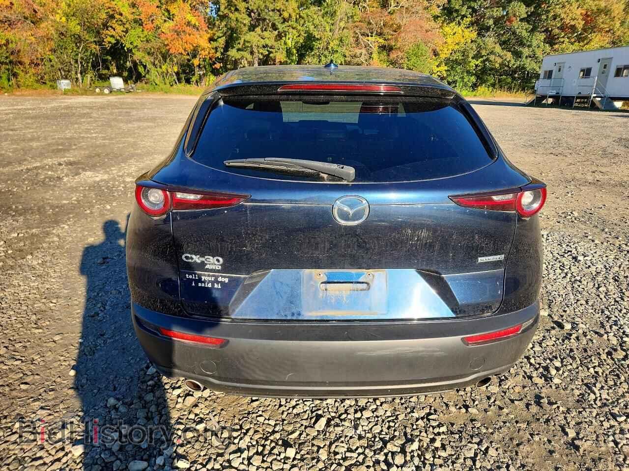 2020 MAZDA CX30 - VIN: 3MVDMBDL5LM111228 - Фото 6