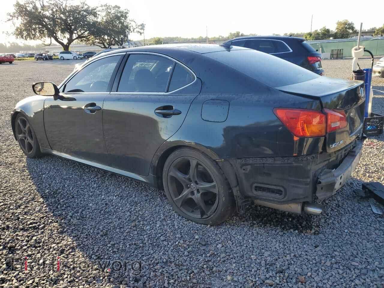 2007 LEXUS IS - VIN: JTHBK262172022531 - Фото 2