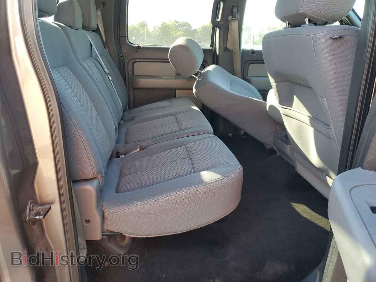 2013 FORD F-150 - VIN: 1FTFW1EF6DFD65118 - Фото 10