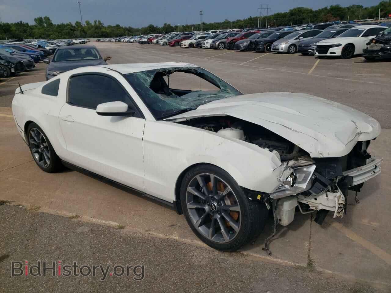 2012 FORD MUSTANG - VIN: 1ZVBP8CF6C5260524 - Фото 4