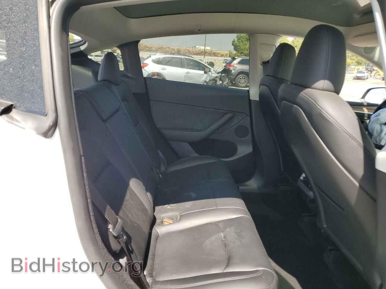 2024 TESLA MODEL Y - VIN: 7SAYGDEDXRF092091 - Фото 10