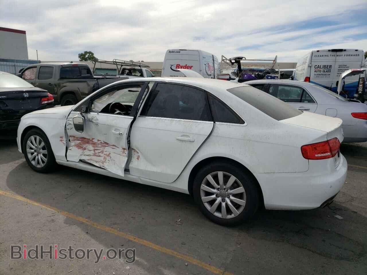 2010 AUDI A4 - VIN: WAUFFAFL1AN021814 - Фото 2