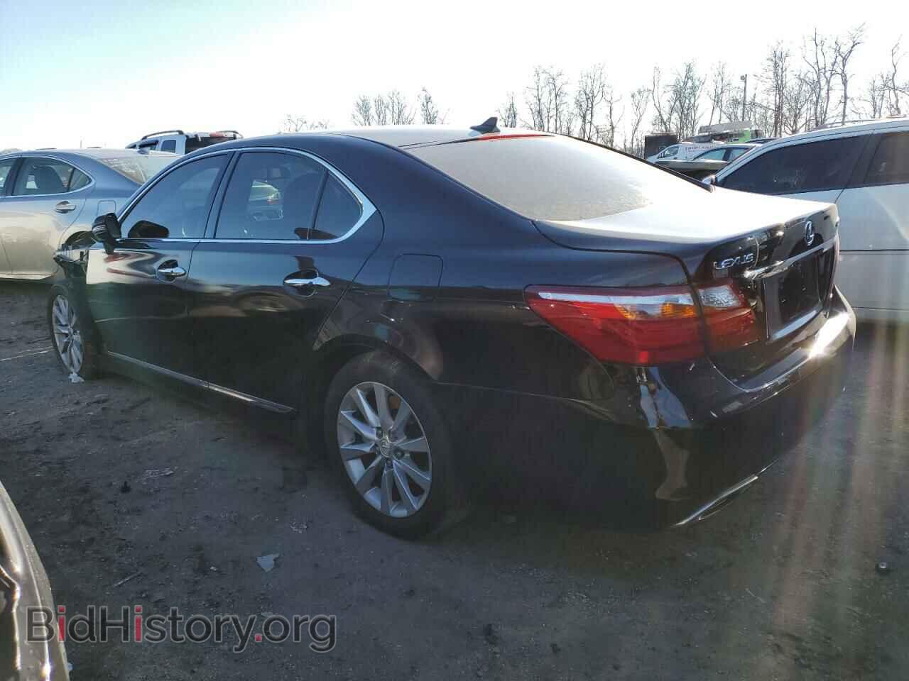 2010 LEXUS LS460 - VIN: JTHCL5EF4A5006210 - Фото 2