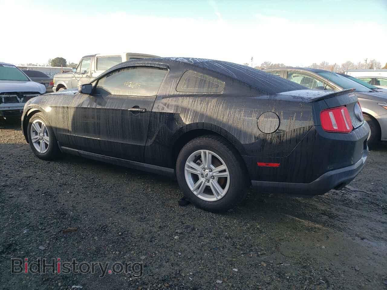 2011 FORD MUSTANG - VIN: 1ZVBP8AM2B5156306 - Фото 2