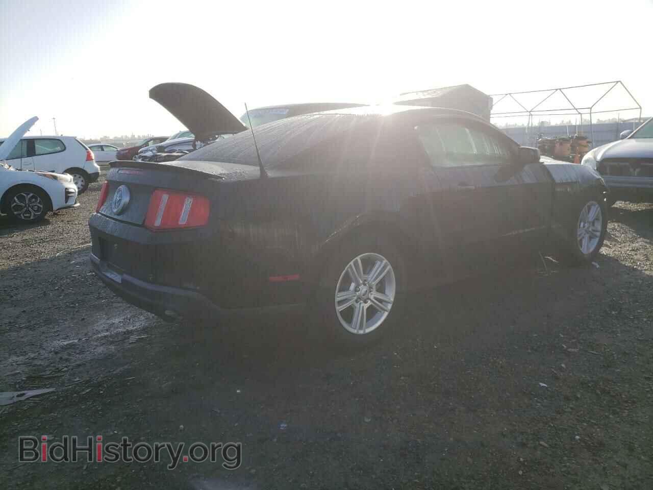 2011 FORD MUSTANG - VIN: 1ZVBP8AM2B5156306 - Фото 3