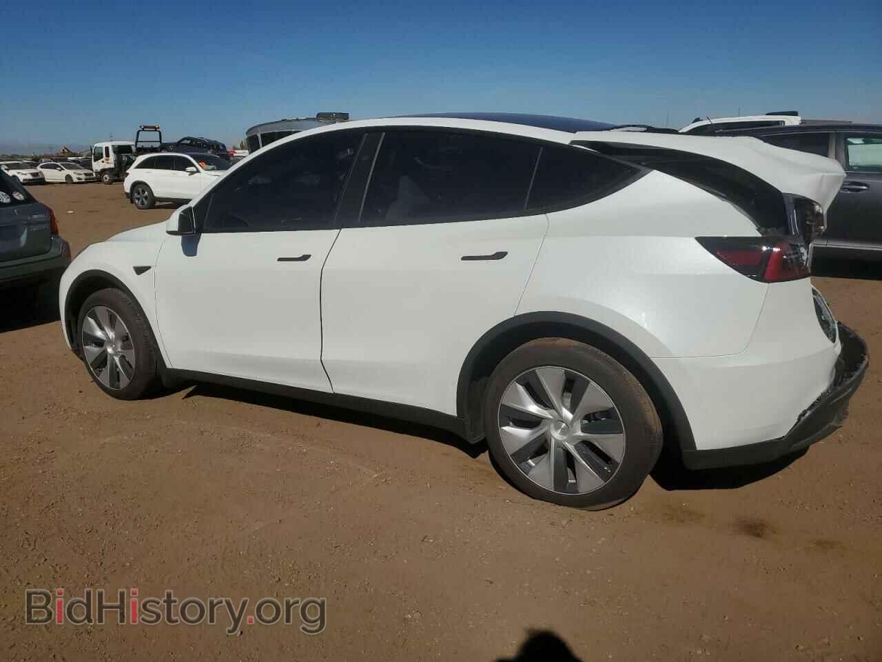 2023 TESLA MODEL Y - VIN: 7SAYGDEE3PF842095 - Фото 2