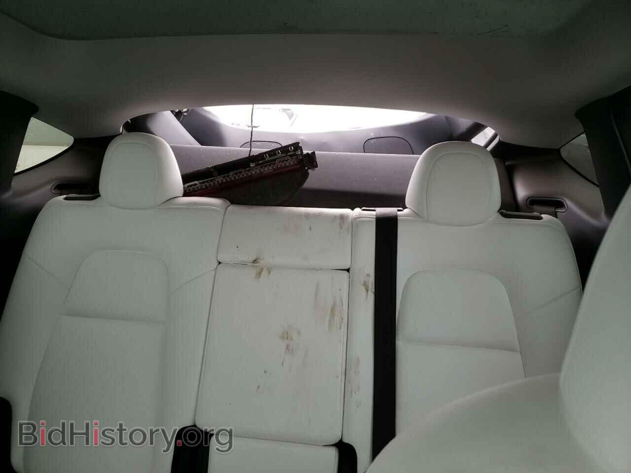 2023 TESLA MODEL Y - VIN: 7SAYGDEE3PF842095 - Фото 10
