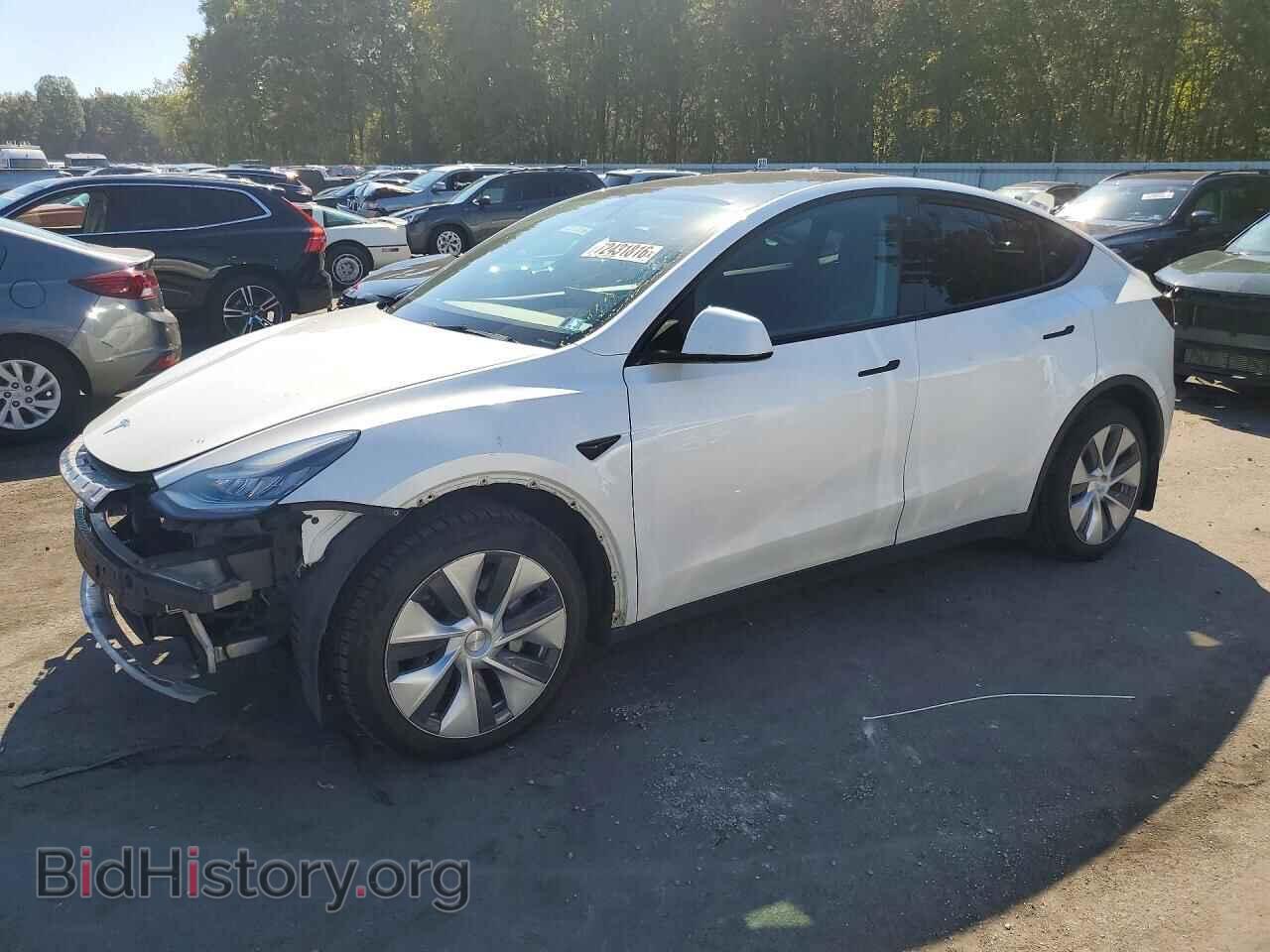 Фотография 5YJYGDEEXMF140560 - TESLA MODEL Y 2021