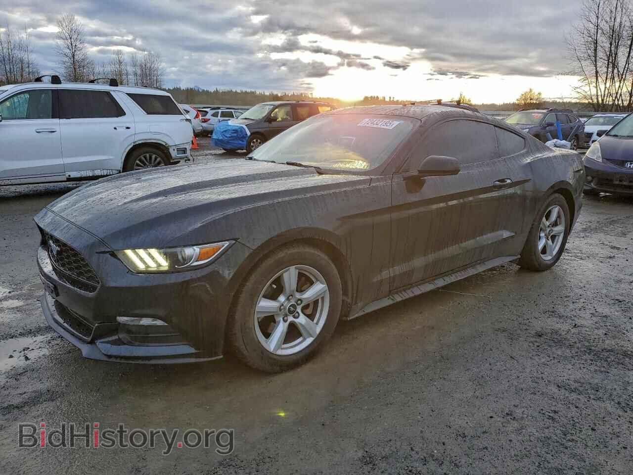 Photo 1FA6P8AM5H5322434 - FORD ALL Models 2017