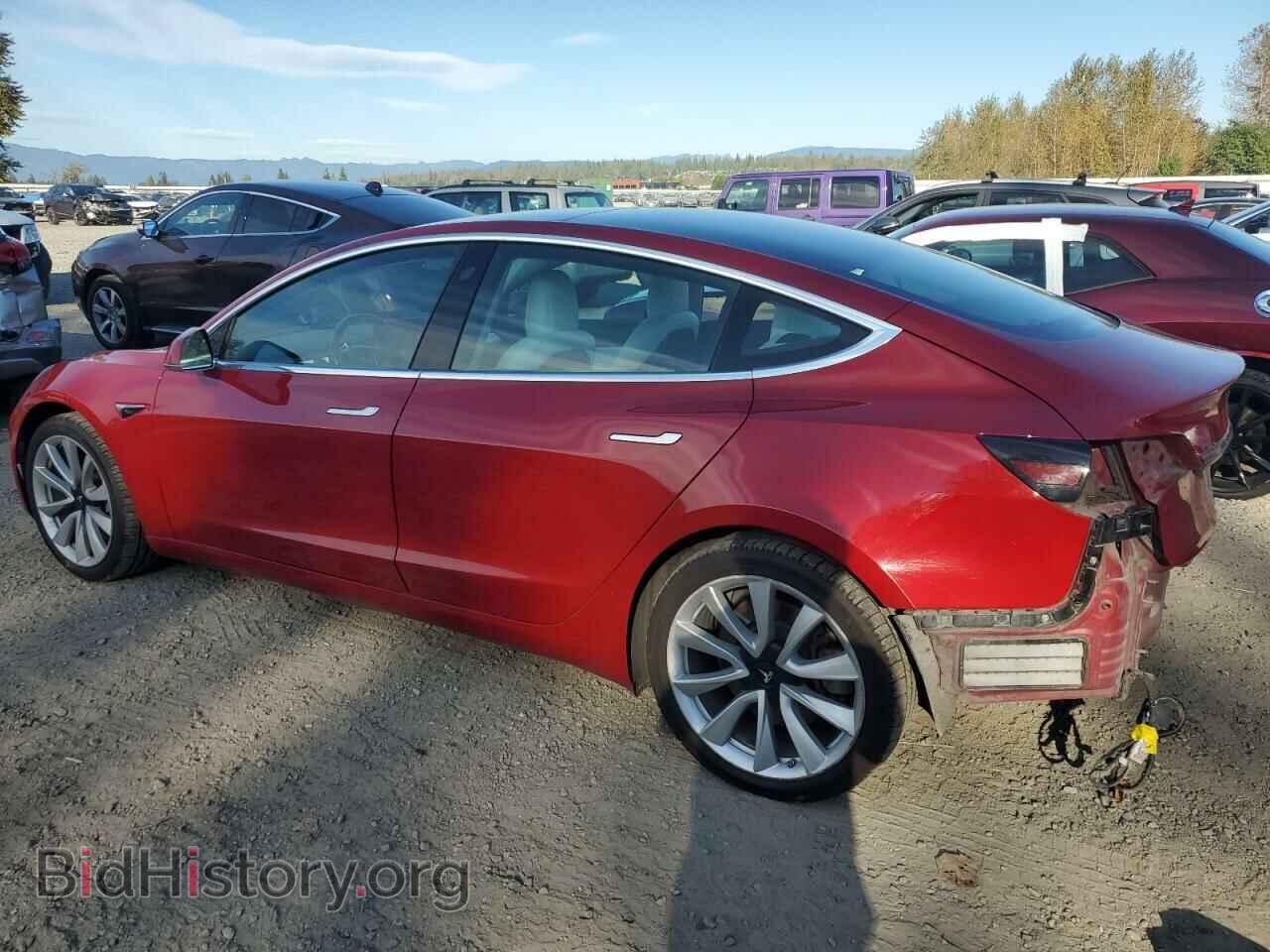 2019 TESLA MODEL 3 - VIN: 5YJ3E1EB1KF391906 - Фото 2