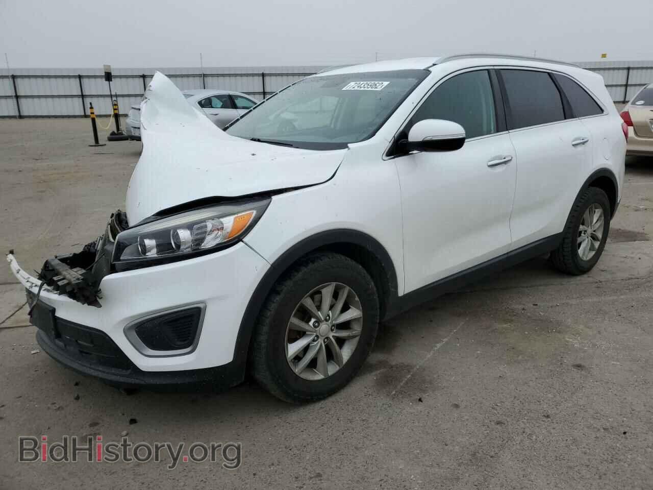 Photo 5XYPG4A32GG113673 - KIA SORENTO 2016