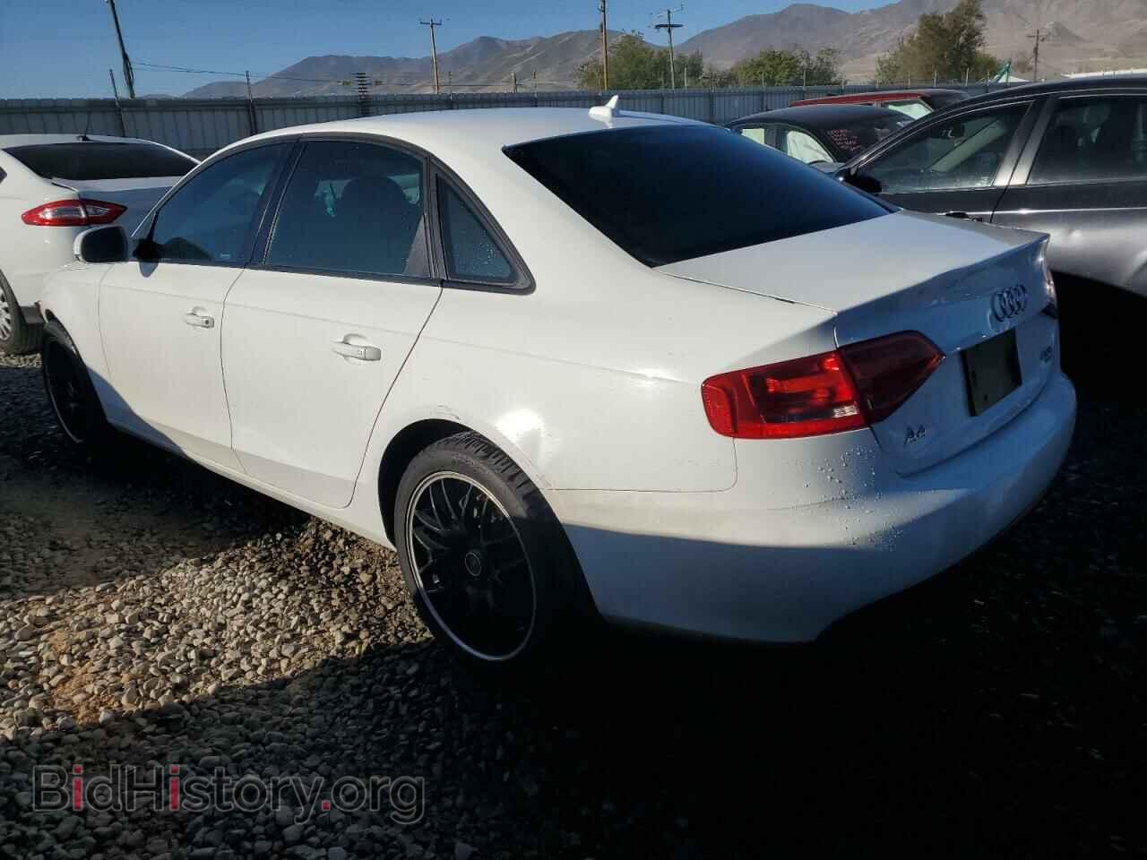 2010 AUDI A4 - VIN: WAUBFAFL0AN032396 - Фото 2
