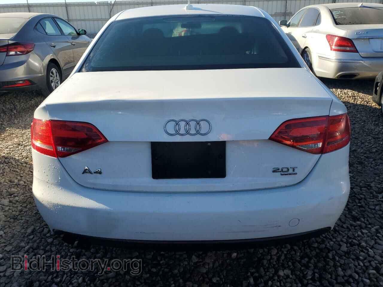 2010 AUDI A4 - VIN: WAUBFAFL0AN032396 - Фото 6