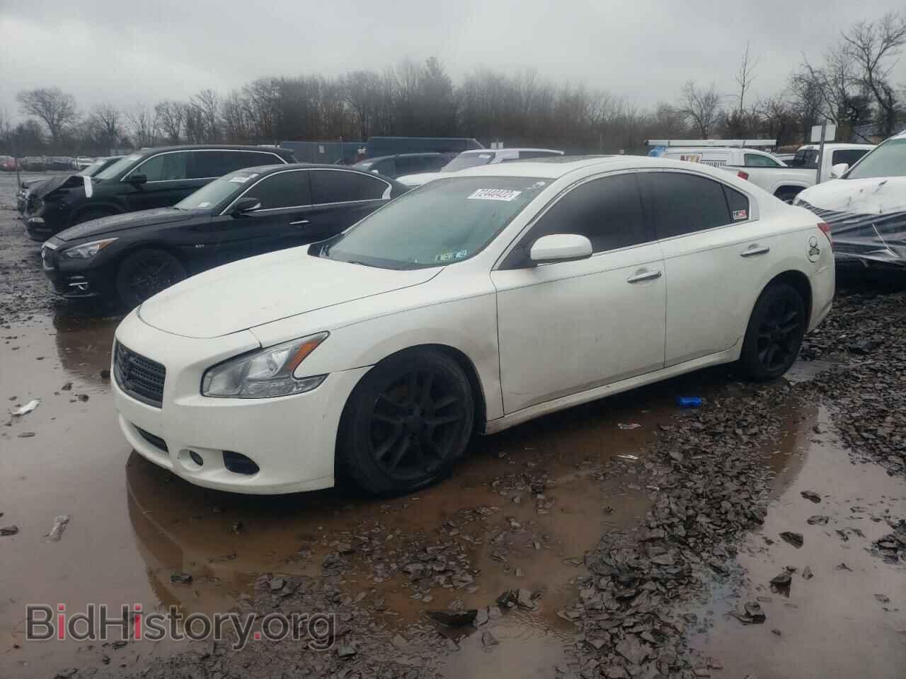 Фотография 1N4AA5AP2BC830772 - NISSAN MAXIMA 2011