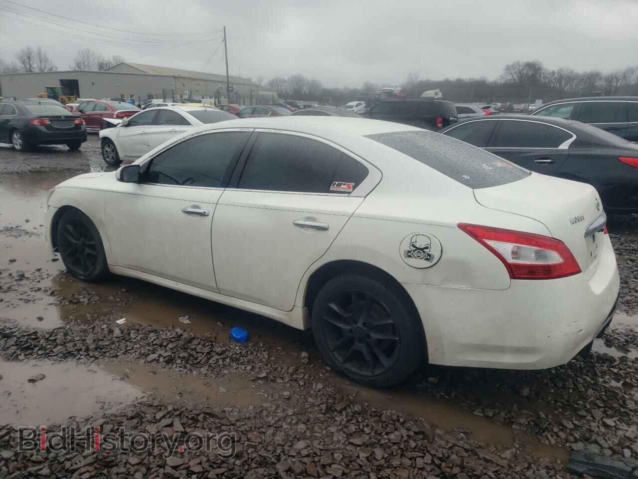 2011 NISSAN MAXIMA - VIN: 1N4AA5AP2BC830772 - Фото 2