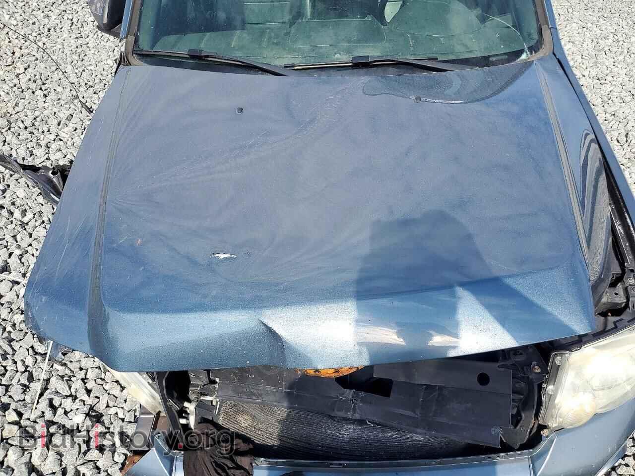 2010 FORD ESCAPE - VIN: 1FMCU0DG0AKB42939 - Фото 12